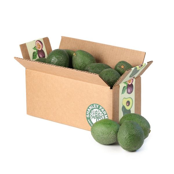 Avocados — SONS FARM FRESH